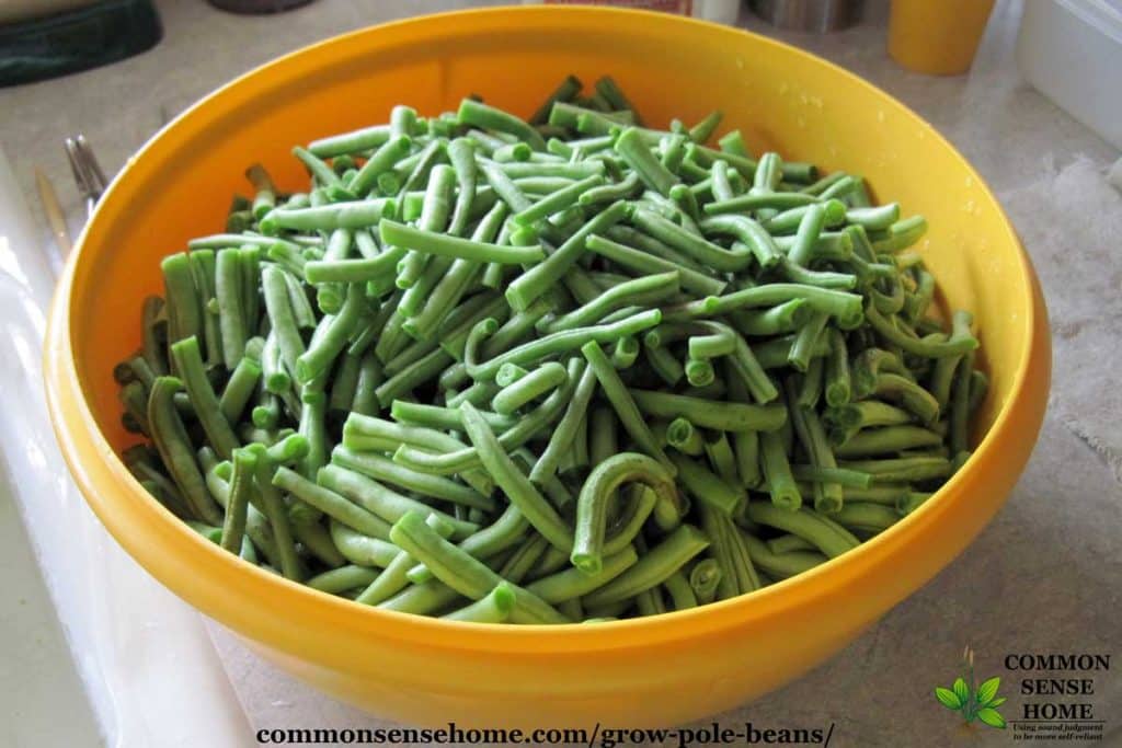 bowl full of green pole beans