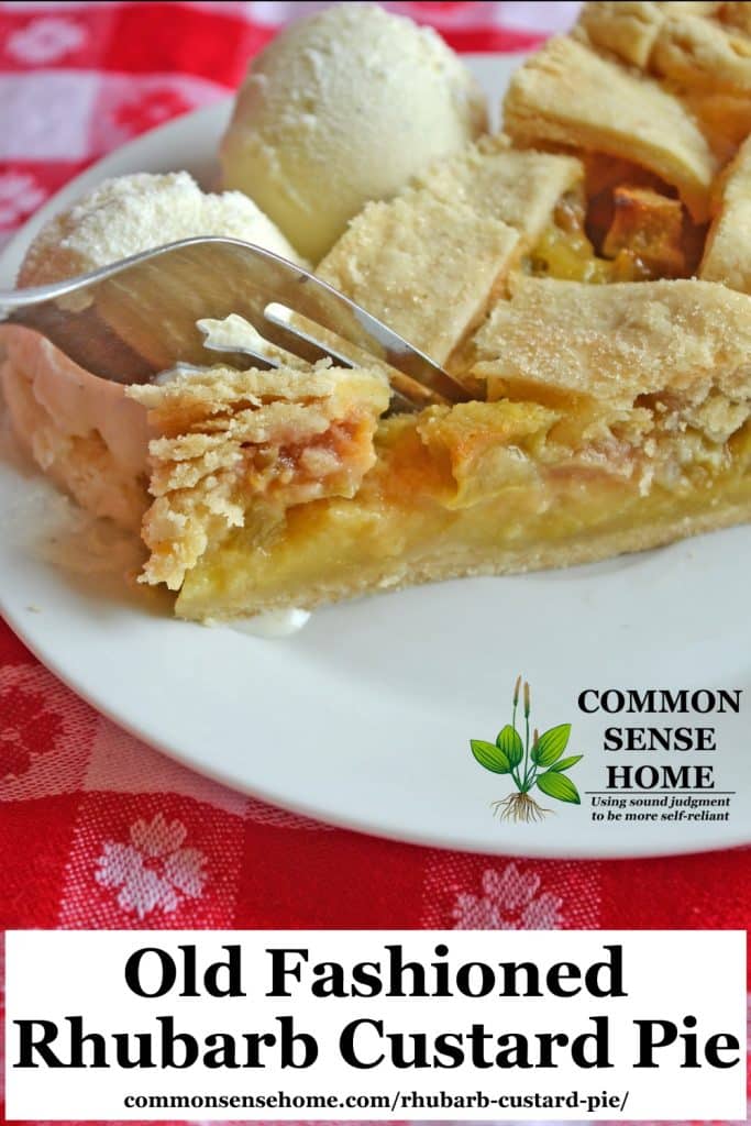 Slice of rhubarb custard pie with ice cream on a white plate with red and white tablecloth, text overlay "Old Fashioned Rhubarb Custard Pie"