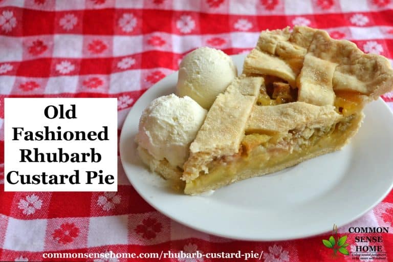 Old Fashioned Rhubarb Custard Pie Like Mom Used To Make