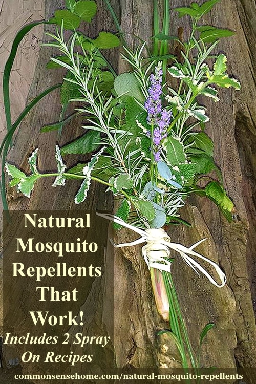 2 natural mosquito repellent recipes, plus the best herbs for mosquito control, 4 reasons some people get bit more than others, and tips to get rid of mosquitoes.