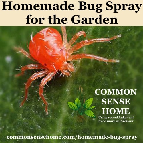 Homemade Bug Spray for the Garden – 3 Easy Recipes