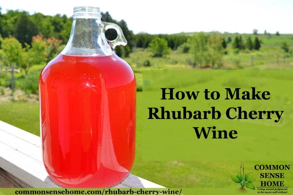 Gallon jug of bright pink homemade rhubarb cherry wine against a green background