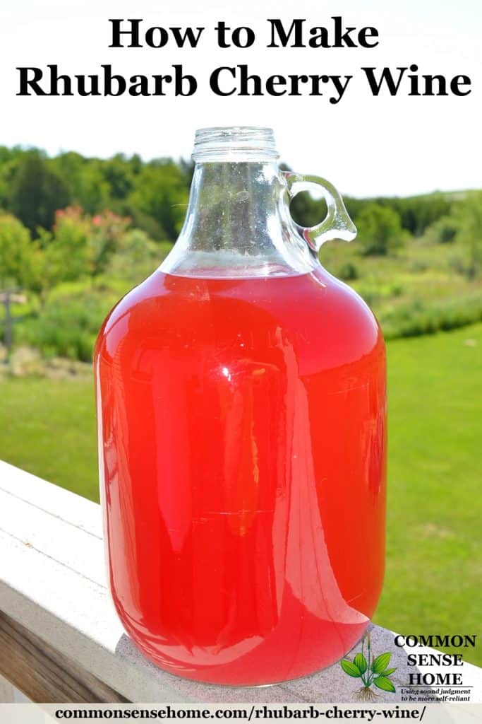 Gallon jug of bright pink homemade rhubarb cherry wine against a green background
