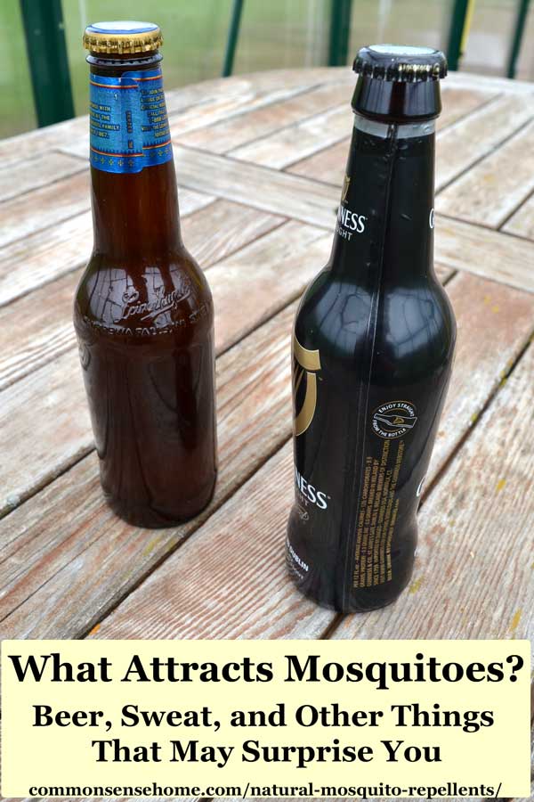 what attracts mosquitoes - two bottles of beer