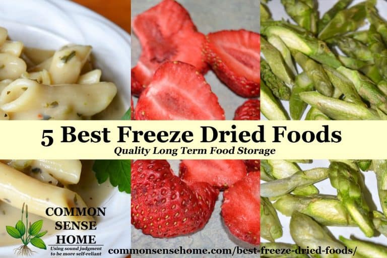 5 Best Freeze Dried Foods – Quality Long Term Food Storage
