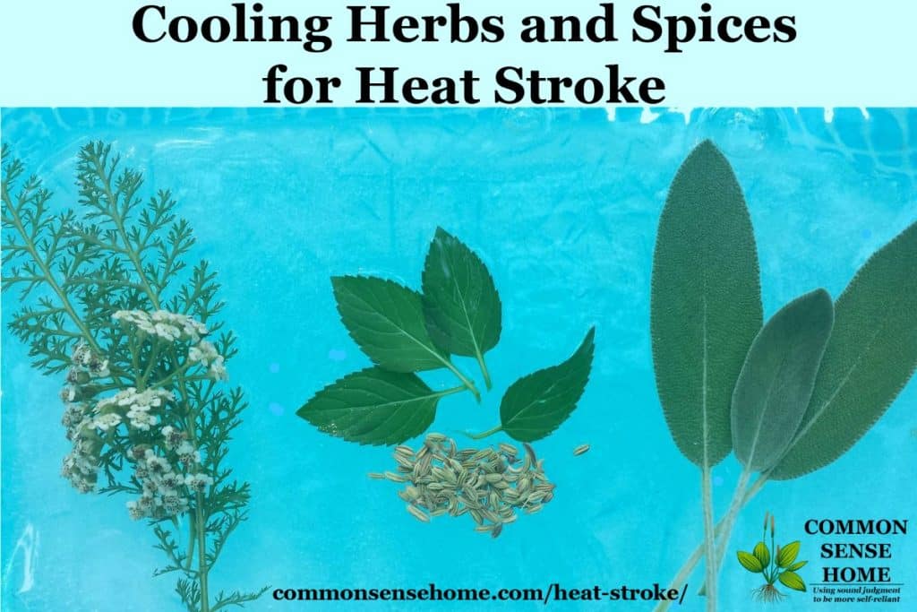 cooling herbs and spices