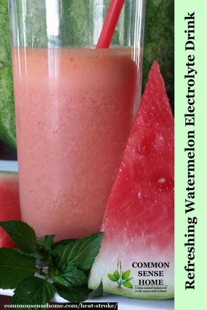 watermelon electrolyte drink