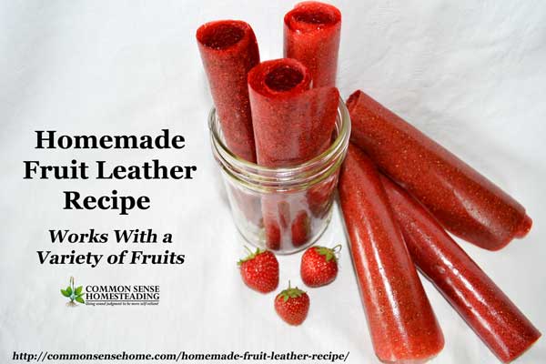 Homemade Fruit Leather Recipe – Works With a Variety of Fruits