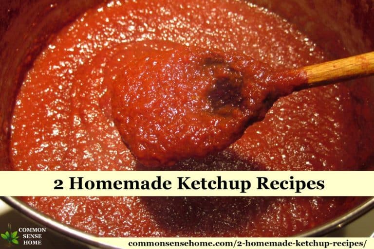 2 Homemade Ketchup Recipes One for Canning, One Probiotic
