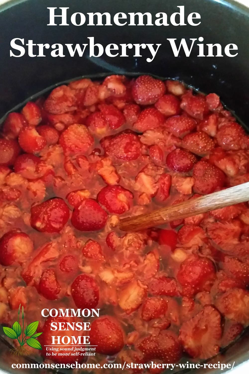 strawberry wine mash