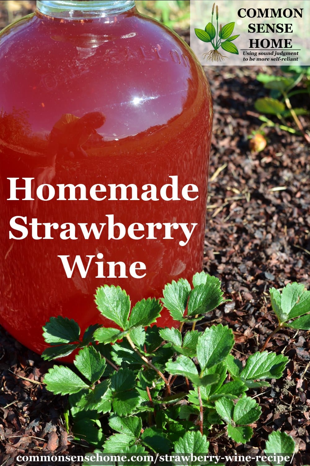 homemade strawberry wine