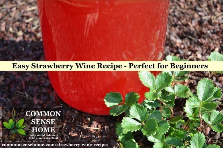 Easy Strawberry Wine Recipe Perfect for Beginners