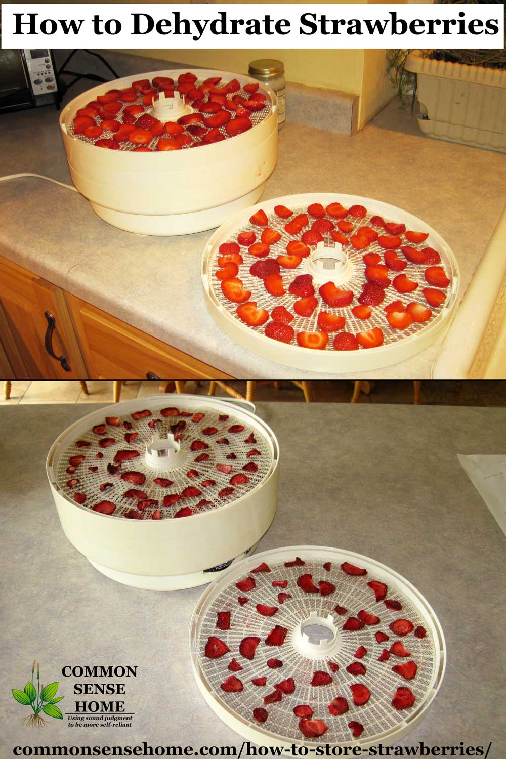 how to dehydrate strawberries, before and after photo