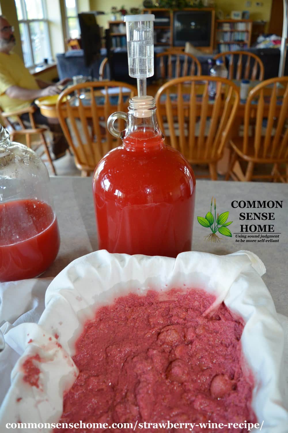 strawberry wine homebrew