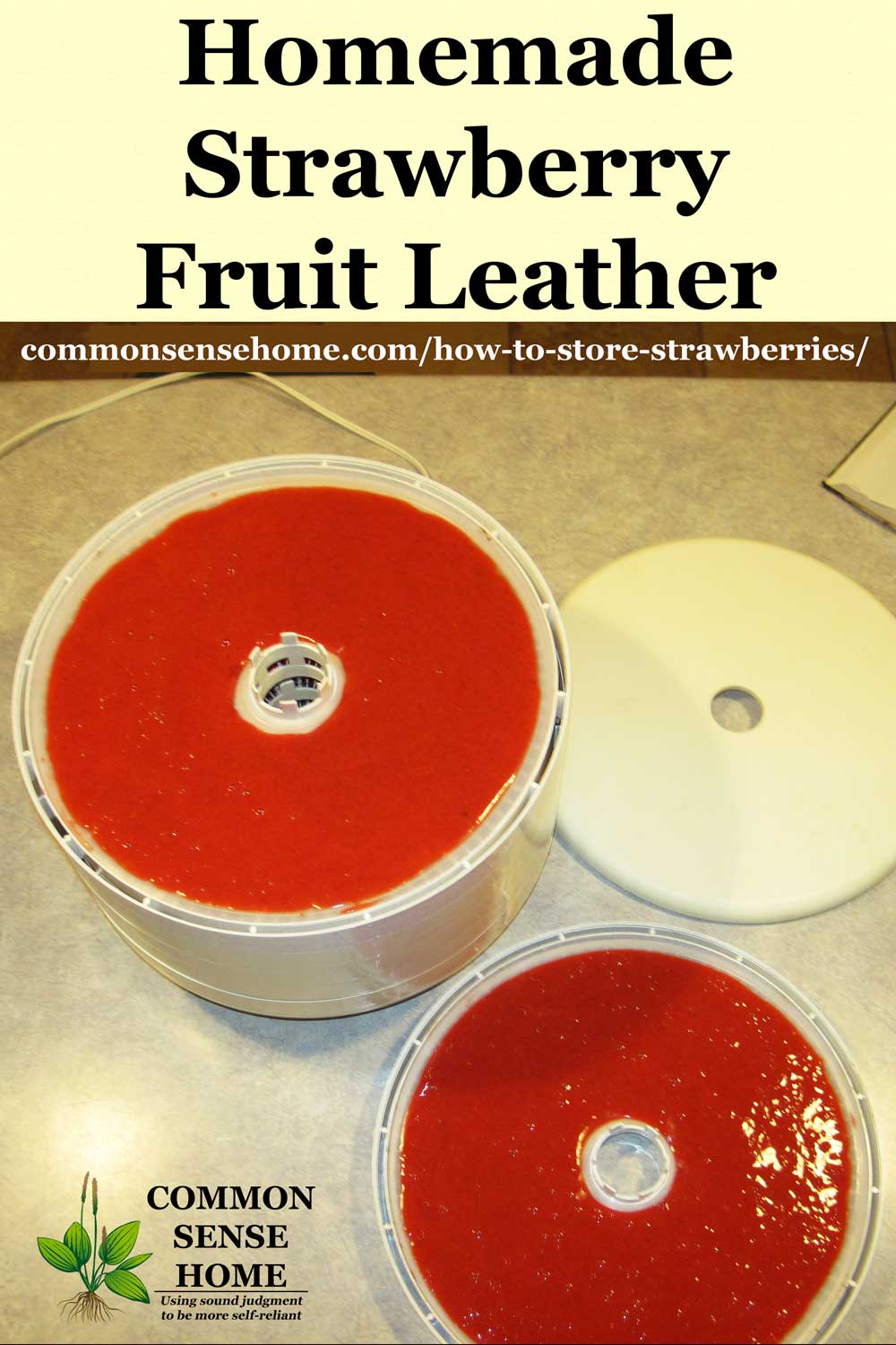 strawberry puree in dehydrator to make strawberry fruit leather