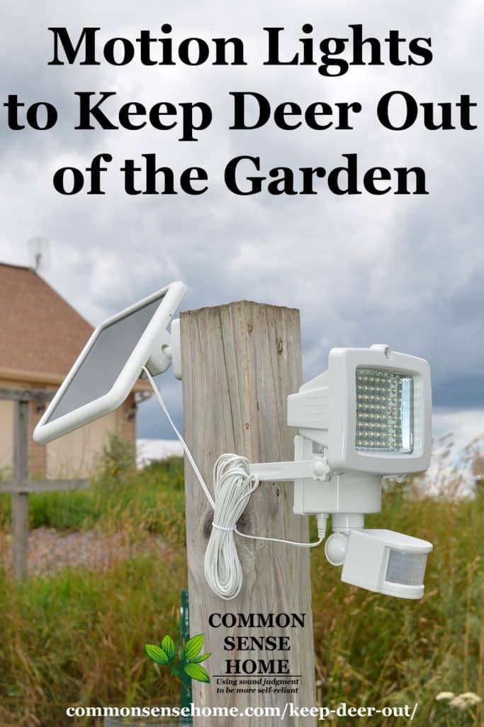 Keep Deer Out of Your Garden 5 Deer Deterrent Tips