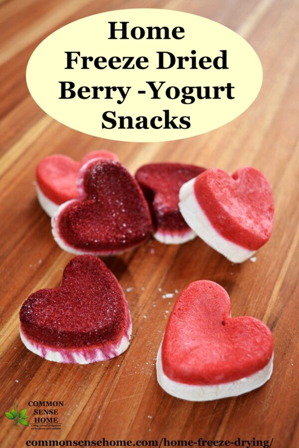 heart shaped freeze dried strawberry yogurt snacks