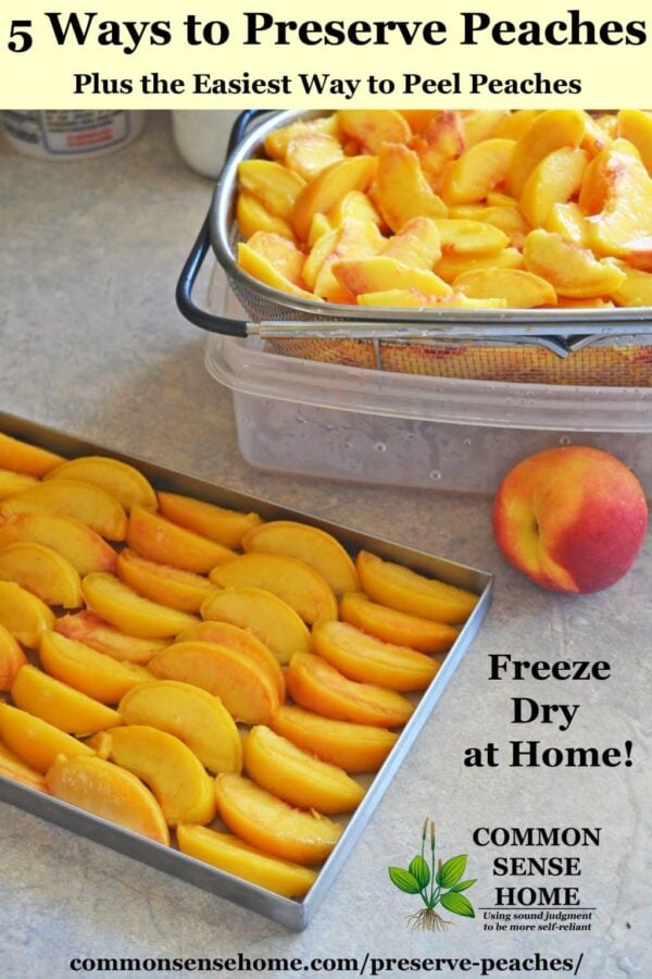 5 Ways to Preserve Peaches Plus the Easiest Way to Peel Peaches