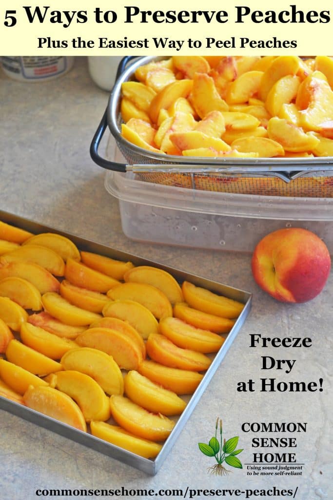 Peach slices prepared for freeze drying