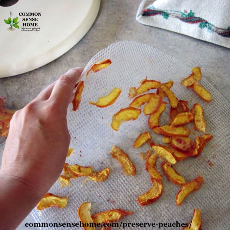 removing dried peaches from dehydrator tray