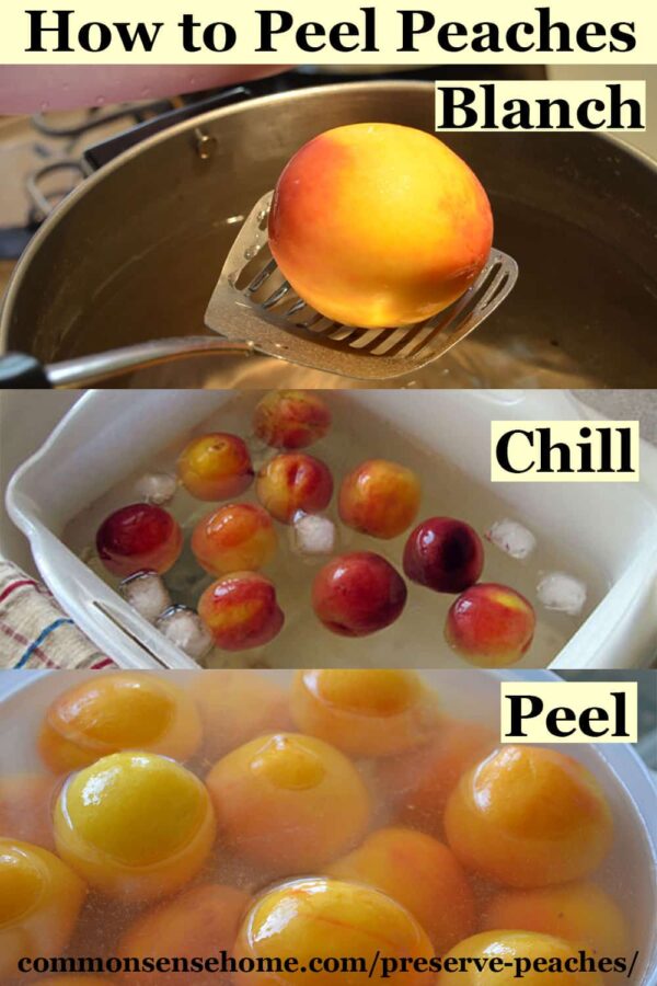 This Is Absolutely The Easiest Way To Peel Peaches