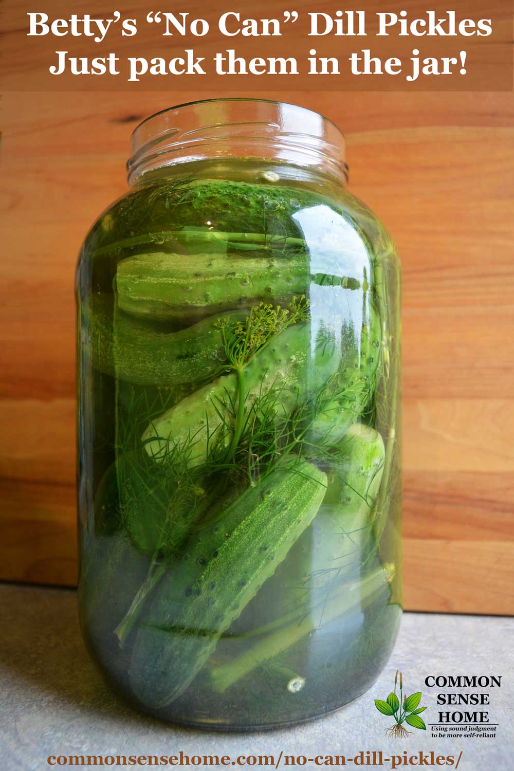 No canning required dill pickles in gallon jar.