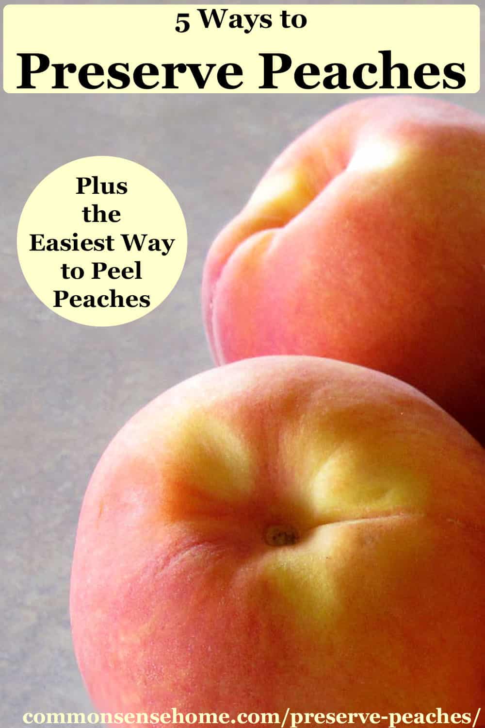 5 Ways to Preserve Peaches Plus the Easiest Way to Peel Peaches