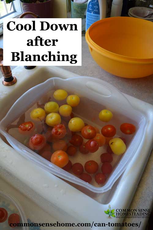 Can tomatoes at home - with or without a canner. Here are the tools you need and step by step instructions (with photos!) for safe and easy tomato canning.