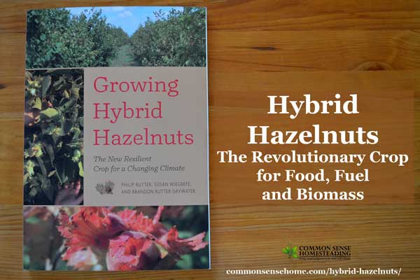 Growing Hybrid Hazelnuts – Book Review