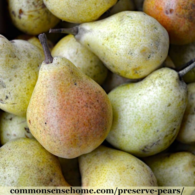9 Ways to Preserve Pears, Plus Tips to Prevent Browning