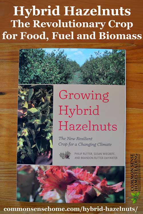"Growing Hybrid Hazelnuts" challenges the reader to imagine a future where hazelnuts provide food, fuel and biomass while creating vibrant ecosystems.