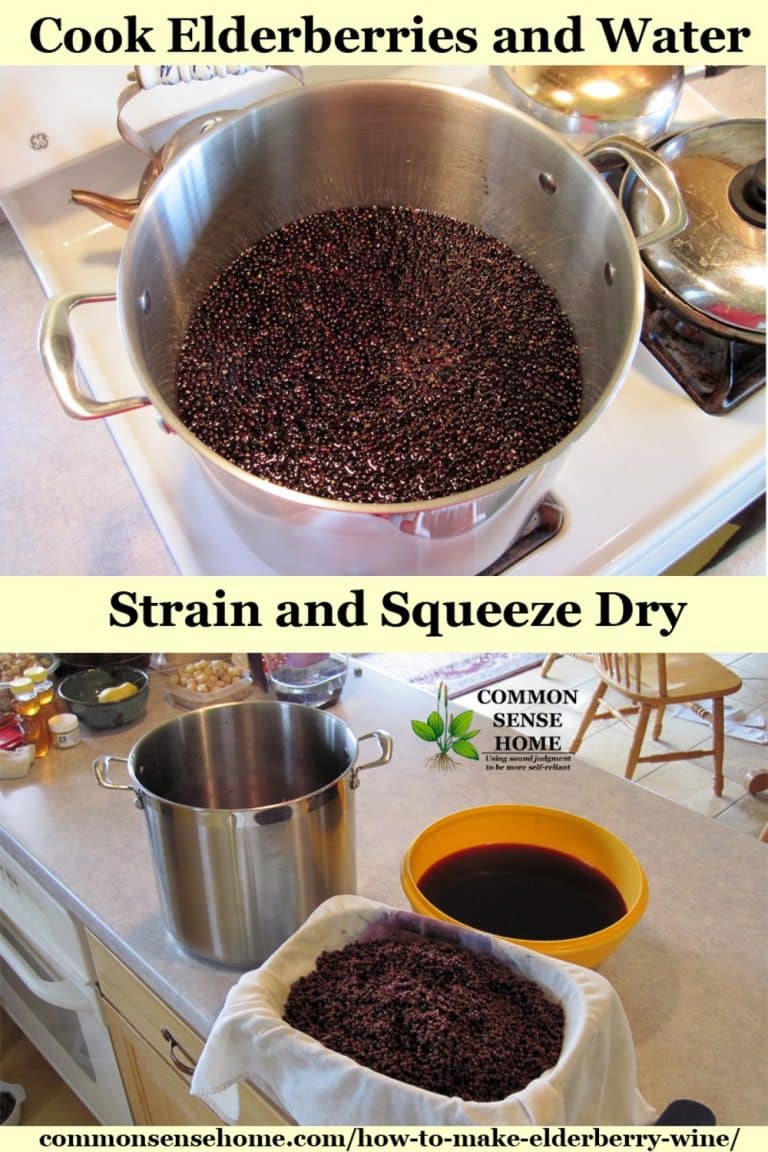 How to Make Elderberry Wine and Identify Wild Elderberry Bushes