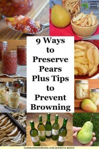 9 Ways To Preserve Pears Plus Tips To Prevent Browning   Preserve Pears Storage 1 200x300 