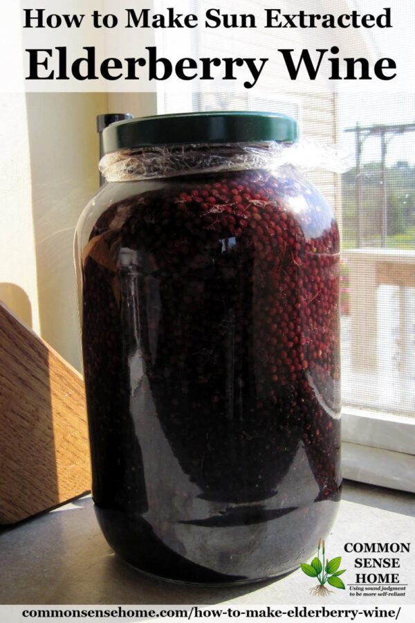 How to Make Elderberry Wine and Identify Wild Elderberry Bushes