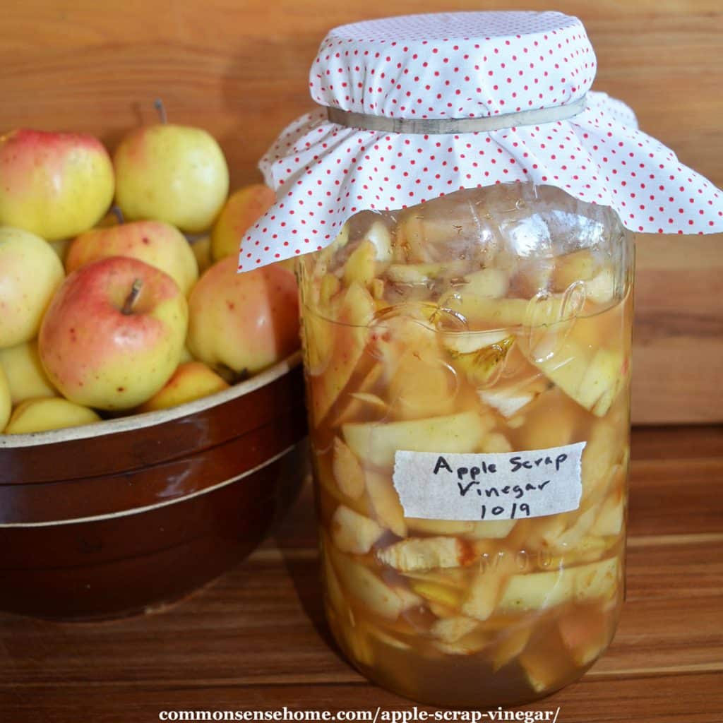 homemade apple cider vinegar in progress with a bowl of apples