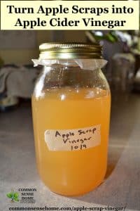 Apple Scrap Vinegar - Easy, Inexpensive Homemade Vinegar