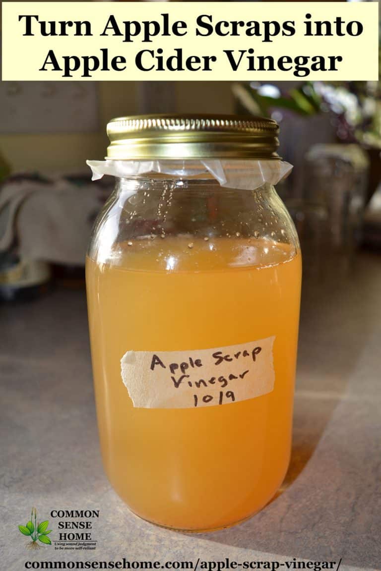 Apple Scrap Vinegar - Easy, Inexpensive Homemade Apple Cider Vinegar
