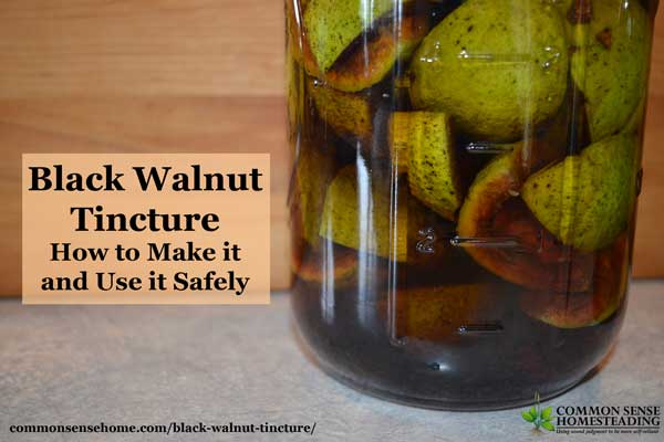 Black Walnut Tincture - How to Make it and Use it Safely