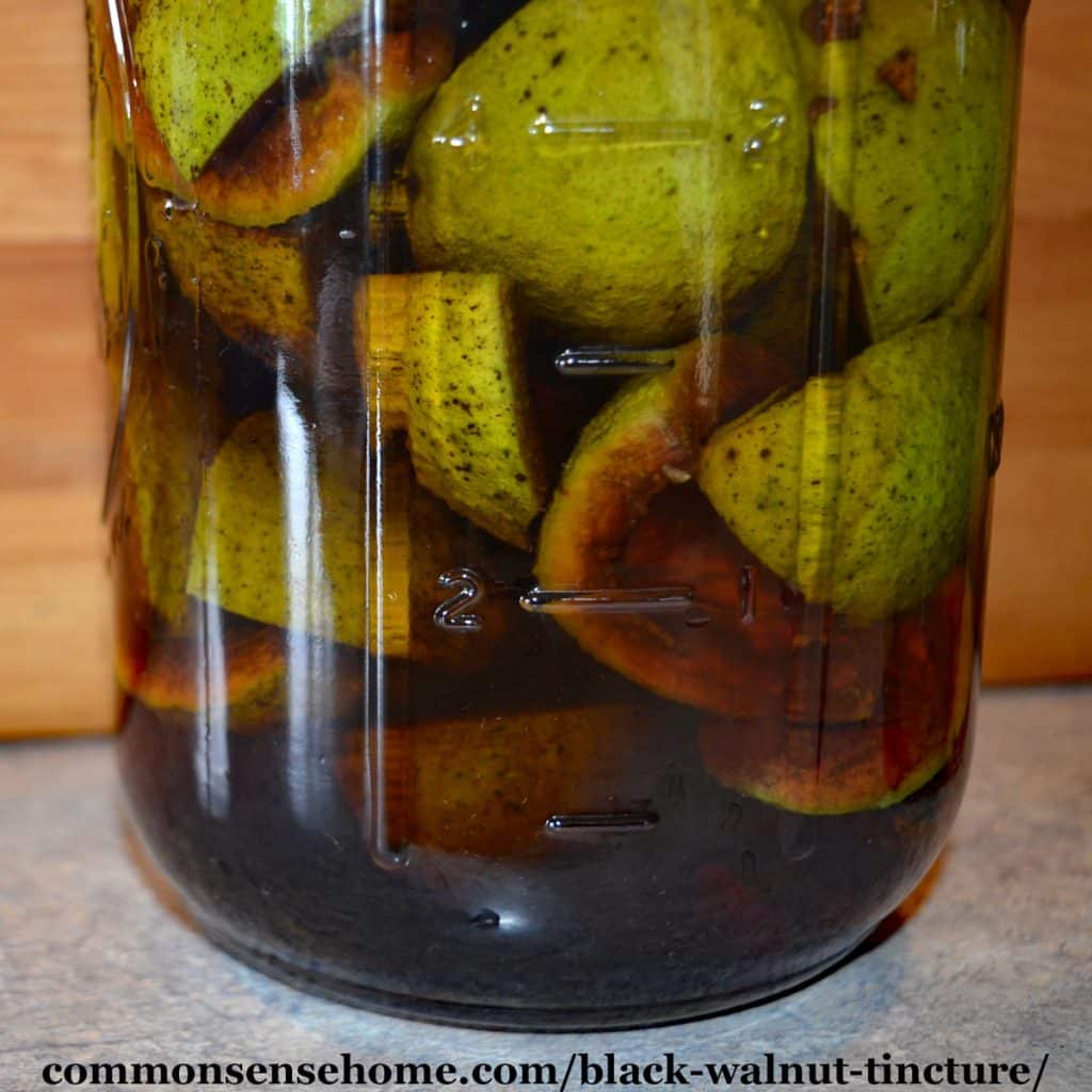 close up of black walnut tincture in mason jar