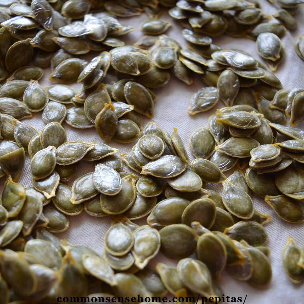 hulless pumpkin seeds varieties