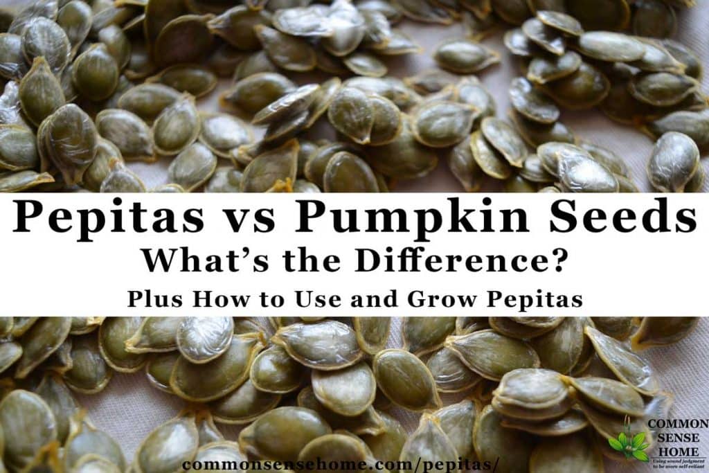 Pepitas vs Pumpkin Seeds - Plus How to Use and Grow Pepitas