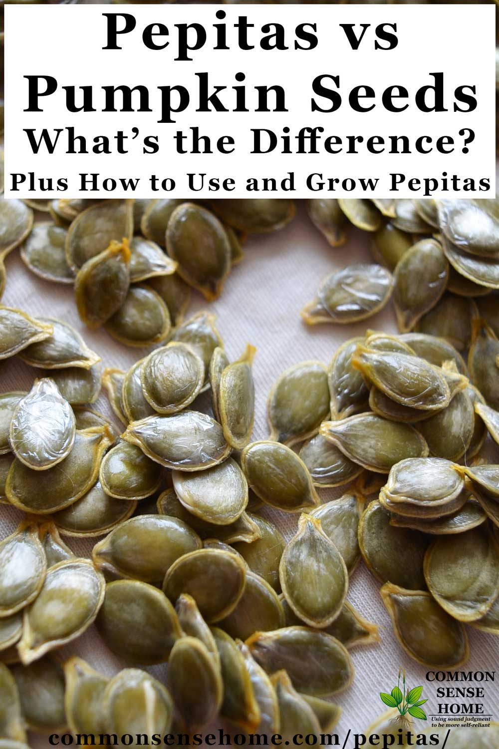 Pepitas vs Pumpkin Seeds - Plus How to Use and Grow Pepitas