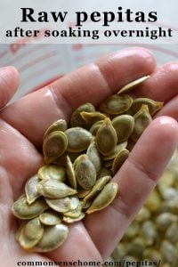 Pepitas vs Pumpkin Seeds - Plus How to Use and Grow Pepitas