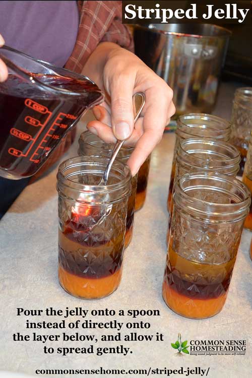 Striped jelly pours make your homemade jams and jellies look extra special. Great for gift giving, or as a premium product for your farm market stand.