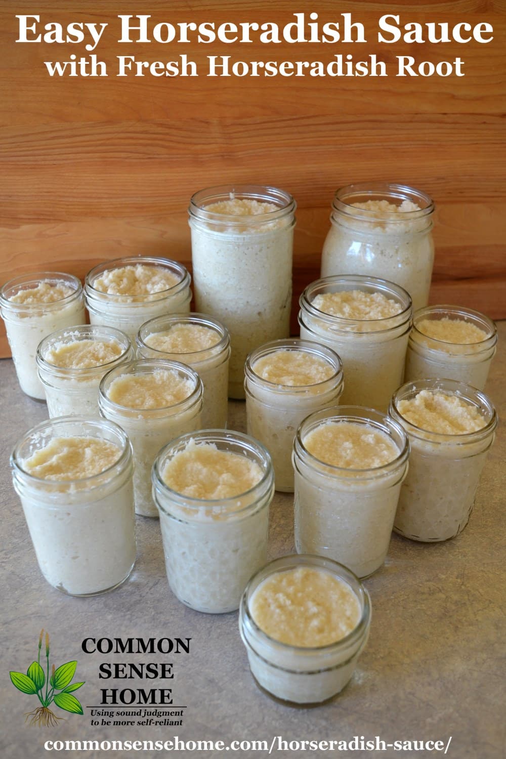 homemade horseradish sauce