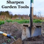 Tools last longer when cleaned and sharpened, plus a well sharpened edge makes gardening easier - learn how to maintain your tools in a step-by-step process.
