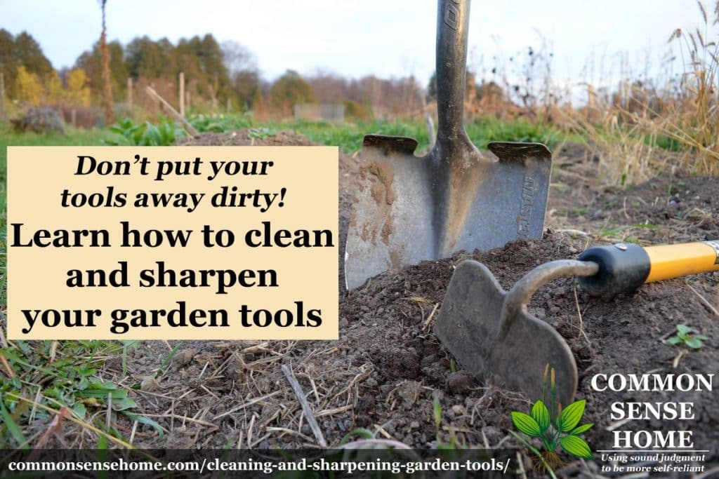 How to Sharpen and Restore Your Gardening Tools