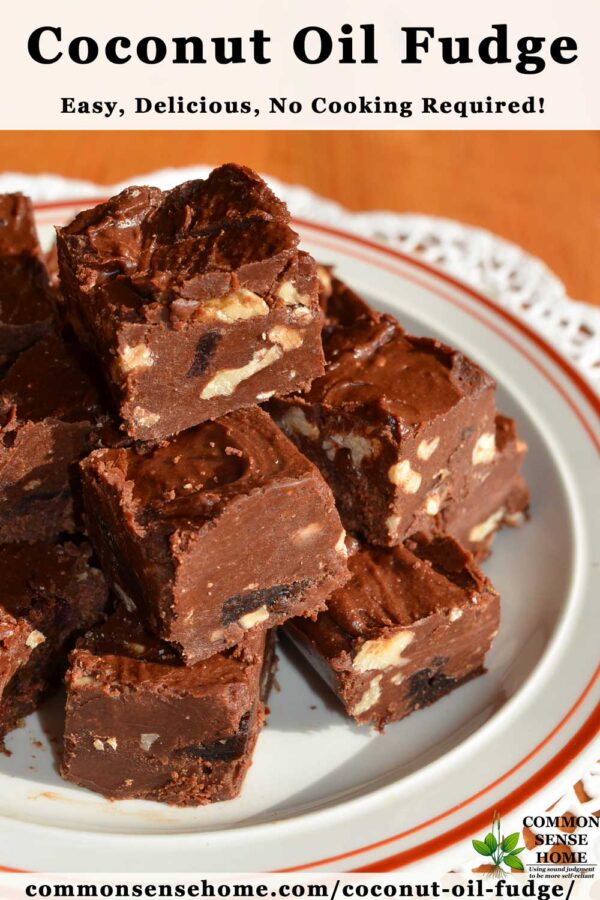 Coconut Oil Fudge Easy, Delicious, No Cooking Required!