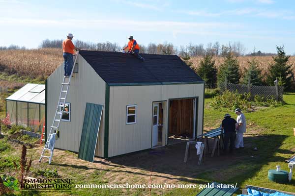 Building an outbuilding.