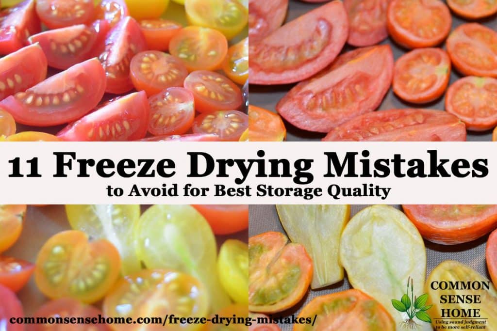 Close-up of cut tomatoes before and after freeze drying